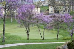 2015 Porto Cima Four Ball