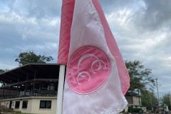 pink-lady-5
