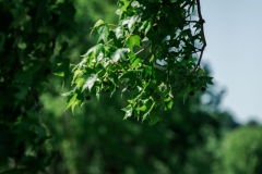 2025-05-21-Two-Lady-Scramble-12