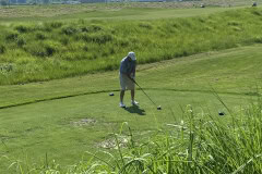 IMG-7036