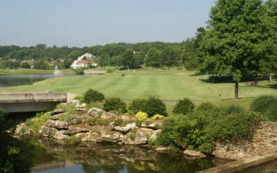 Hieronymus Cup Matches to be held Oct. 8-9