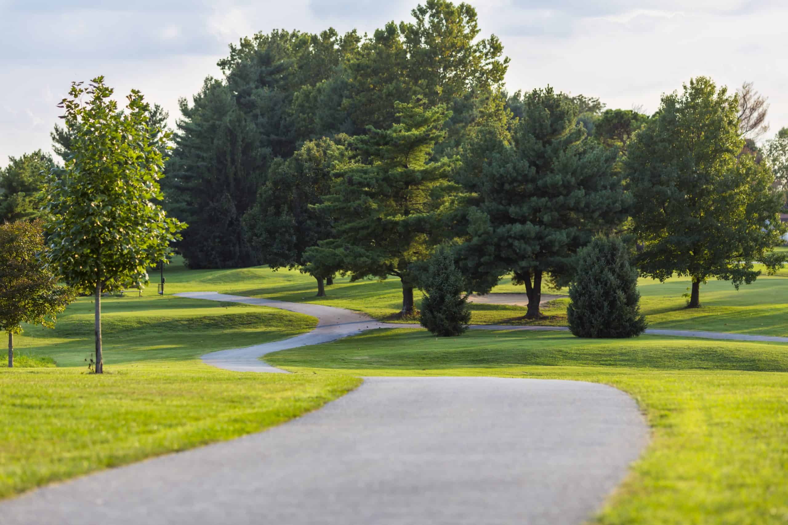 Arris’ Pizza Summer Showcase