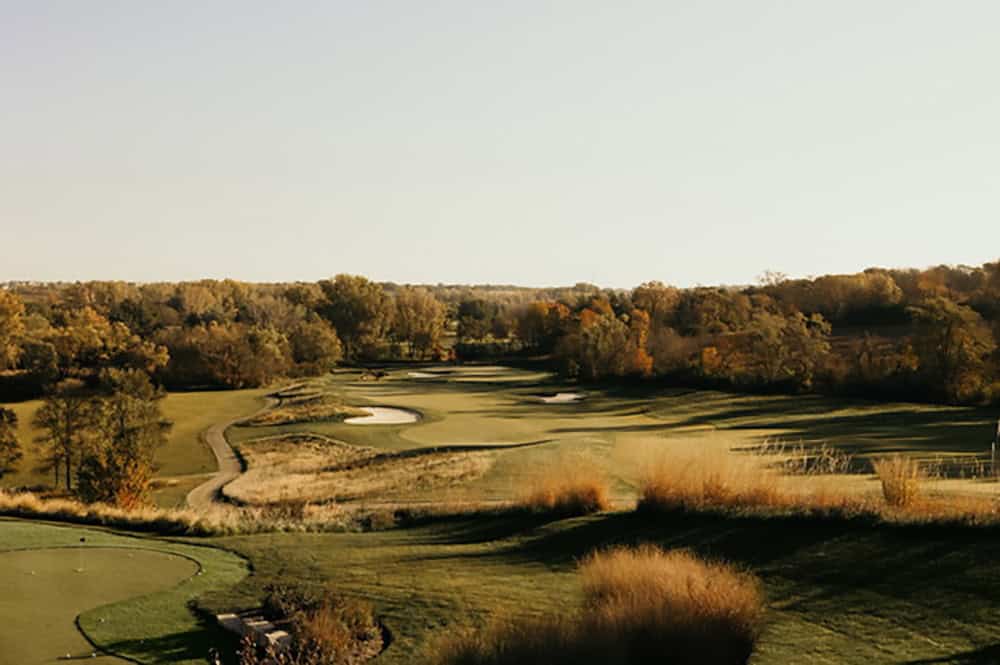 Director’s Cup Matches