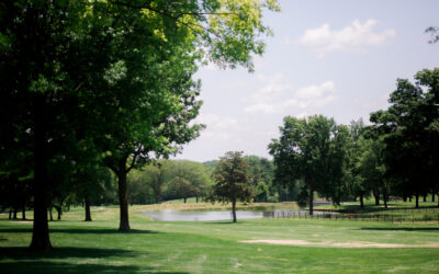 Birdies, Steady Play Mark Senior Series Round at Sedalia