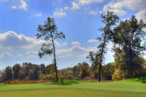 Stan Utley Junior Tour – Deer Chase