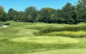 Senior Series – Tanglewood